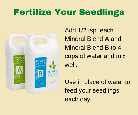 When to Fertilize Your Seedlins