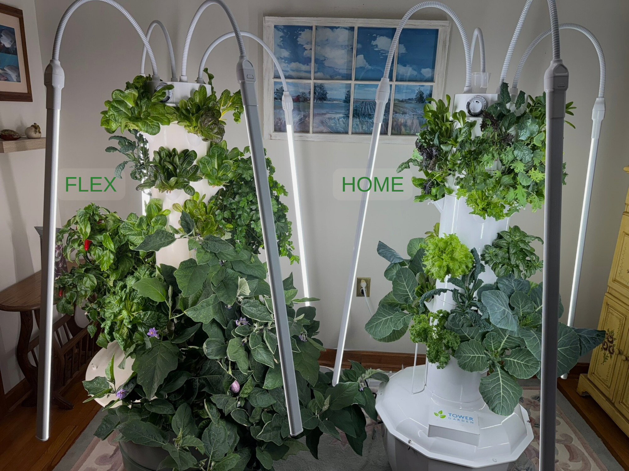 Tower Garden Flex and Tower Garden Home indoor hydroponic systems comparison