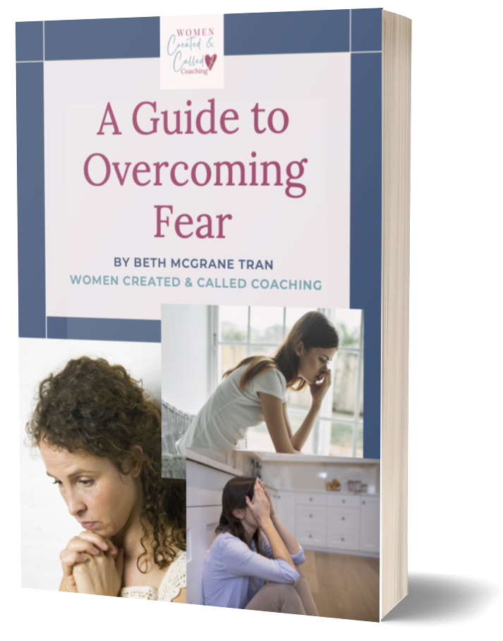 Cover of e-book A Guide to Overcoming Fear