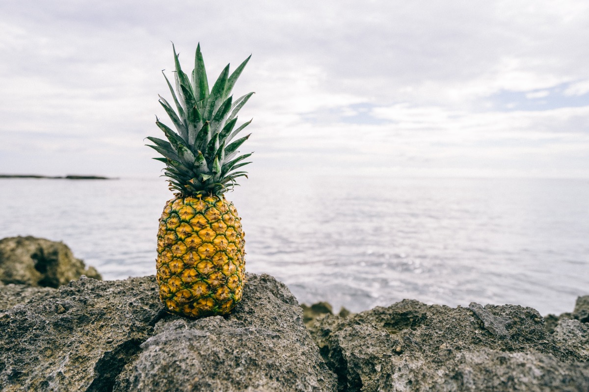 pineapple overlooking the ocean