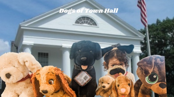 mike vardalia show dogs of town hall