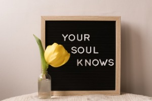 your why is the secret and your soul knows