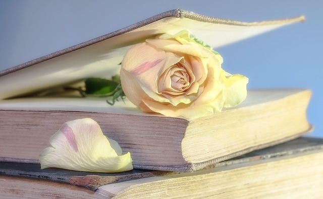 ideas bloom like flowers from books like The 4-Hour Workweek.