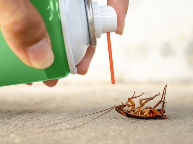 spray cucarachas