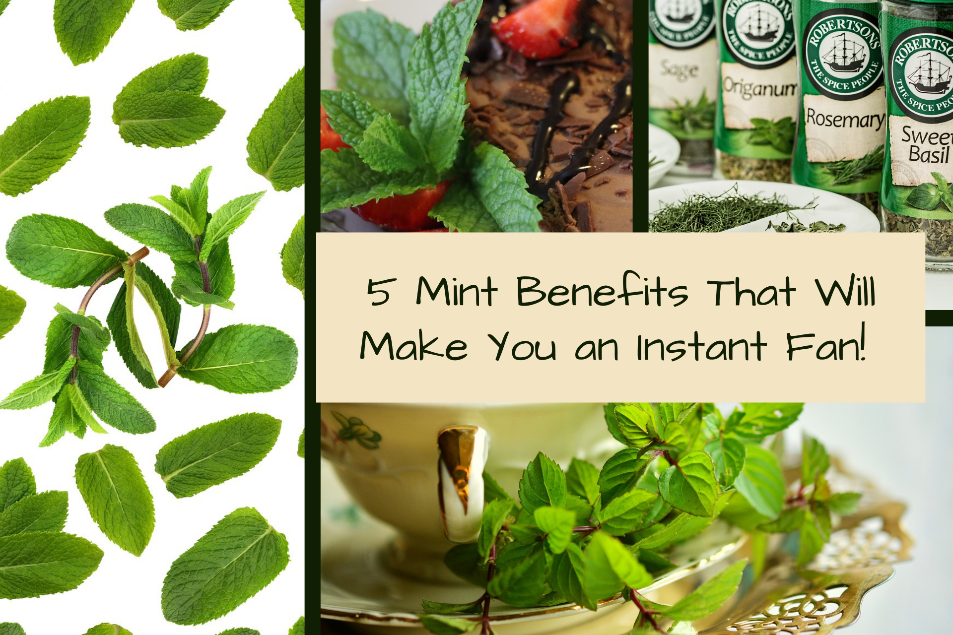 Mint Leaves: Various health benefits