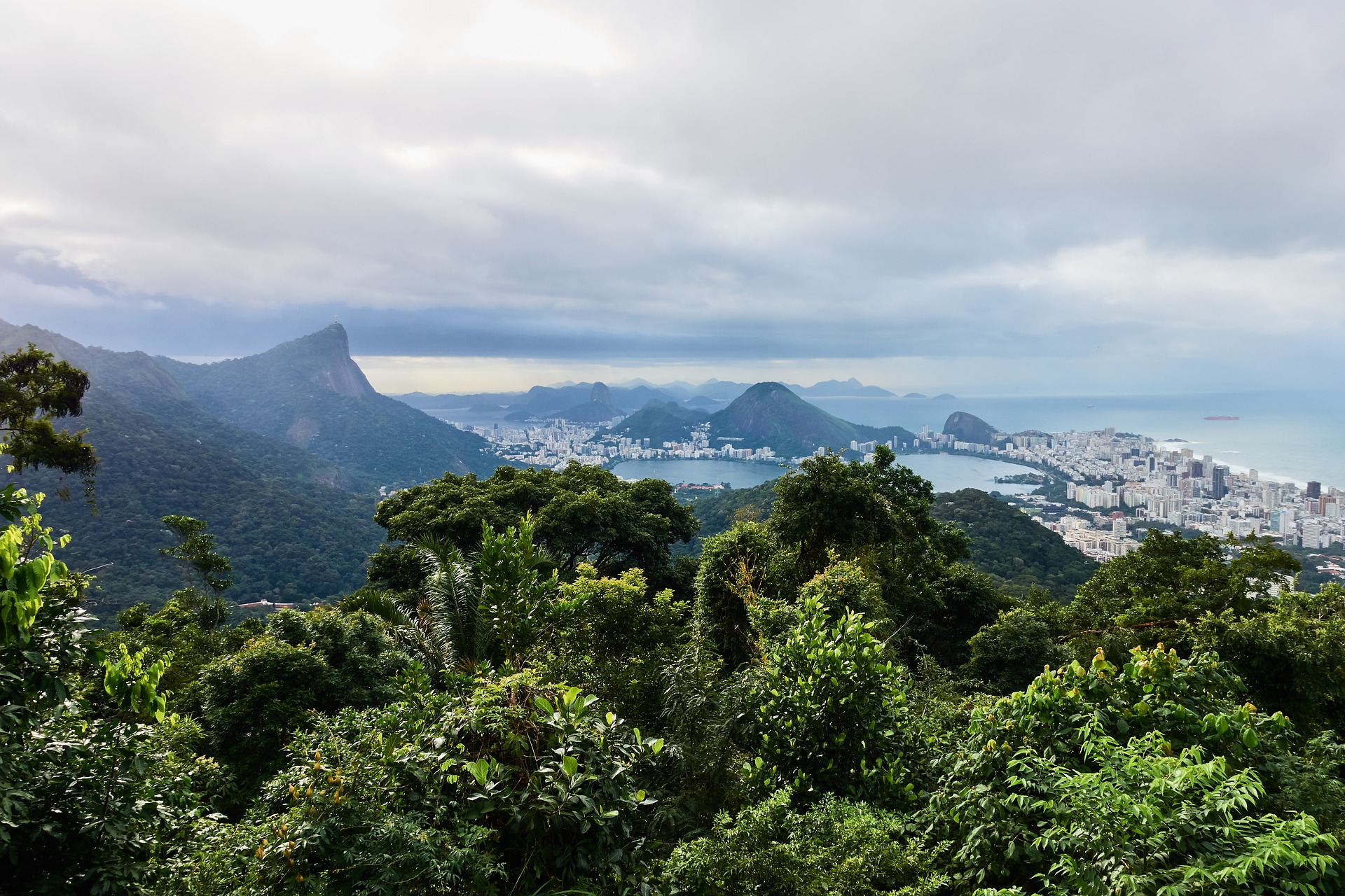 Tropical Rainforests in Peril - 5 Reasons to be Worried