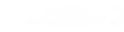 liqsquid logo
