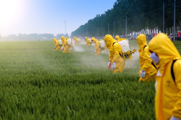 Agricultural Chemicals Toxins