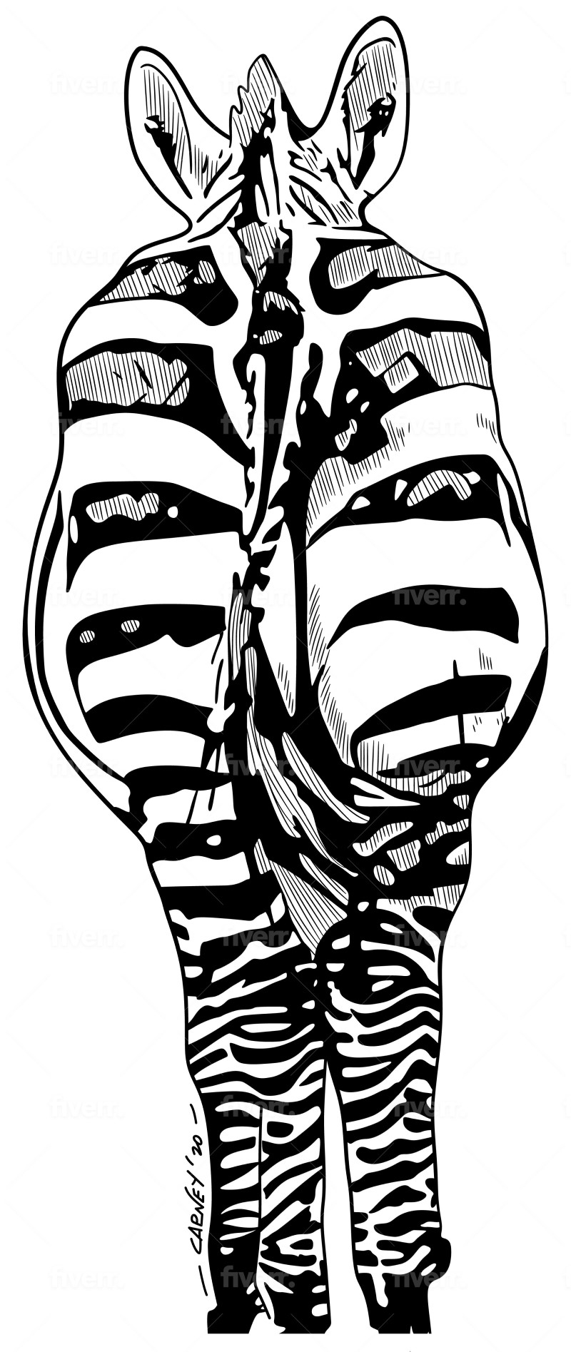 Zebra Backside