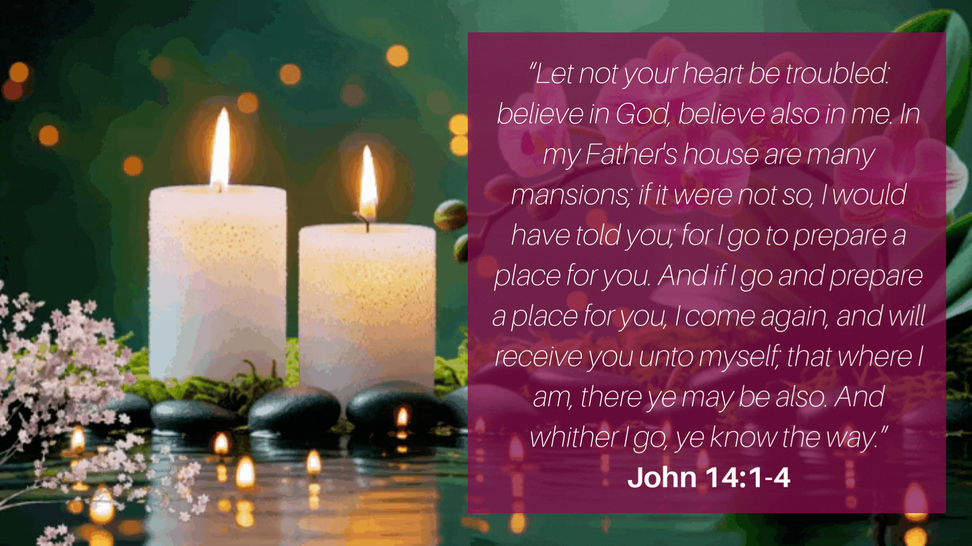 John 14