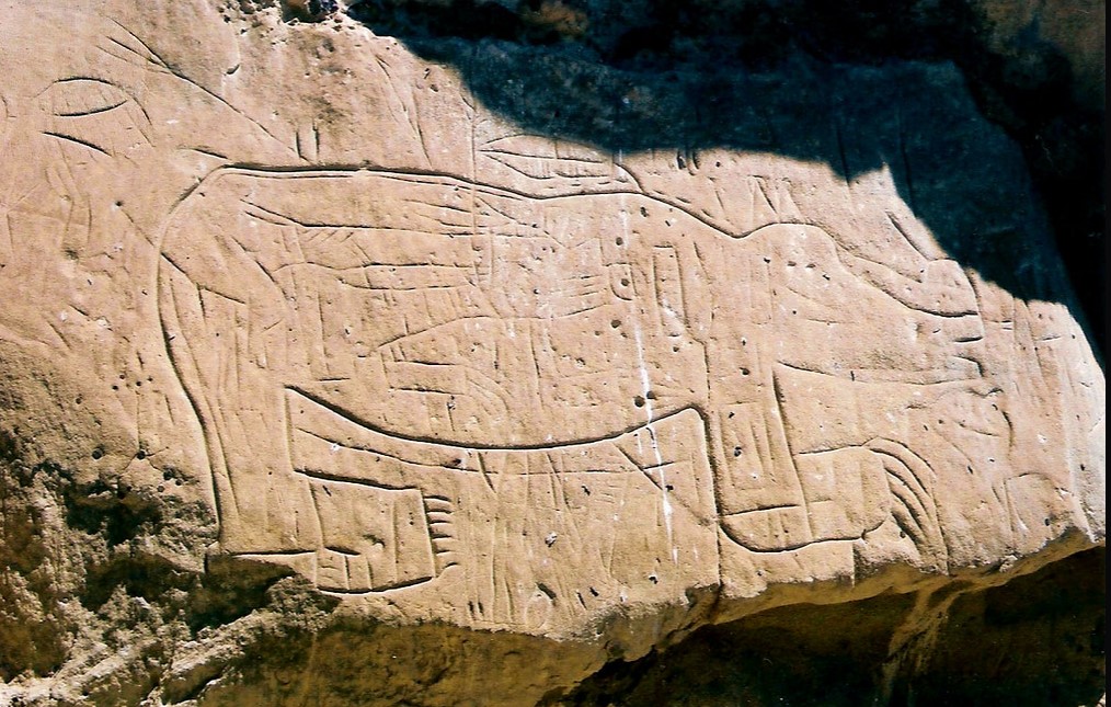 Native American Petroglyphs - Deer Medicine, MT