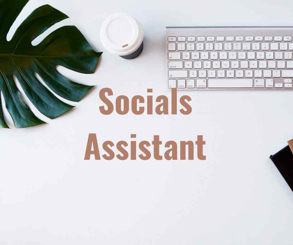 social media assistant 
