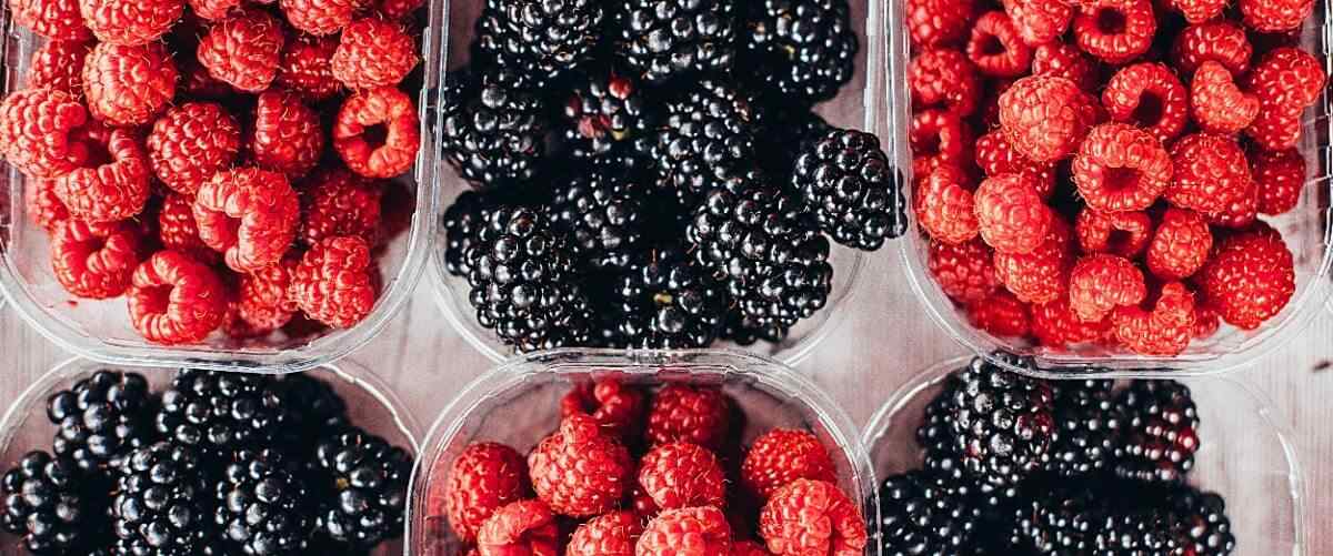 sin or slim berries keto