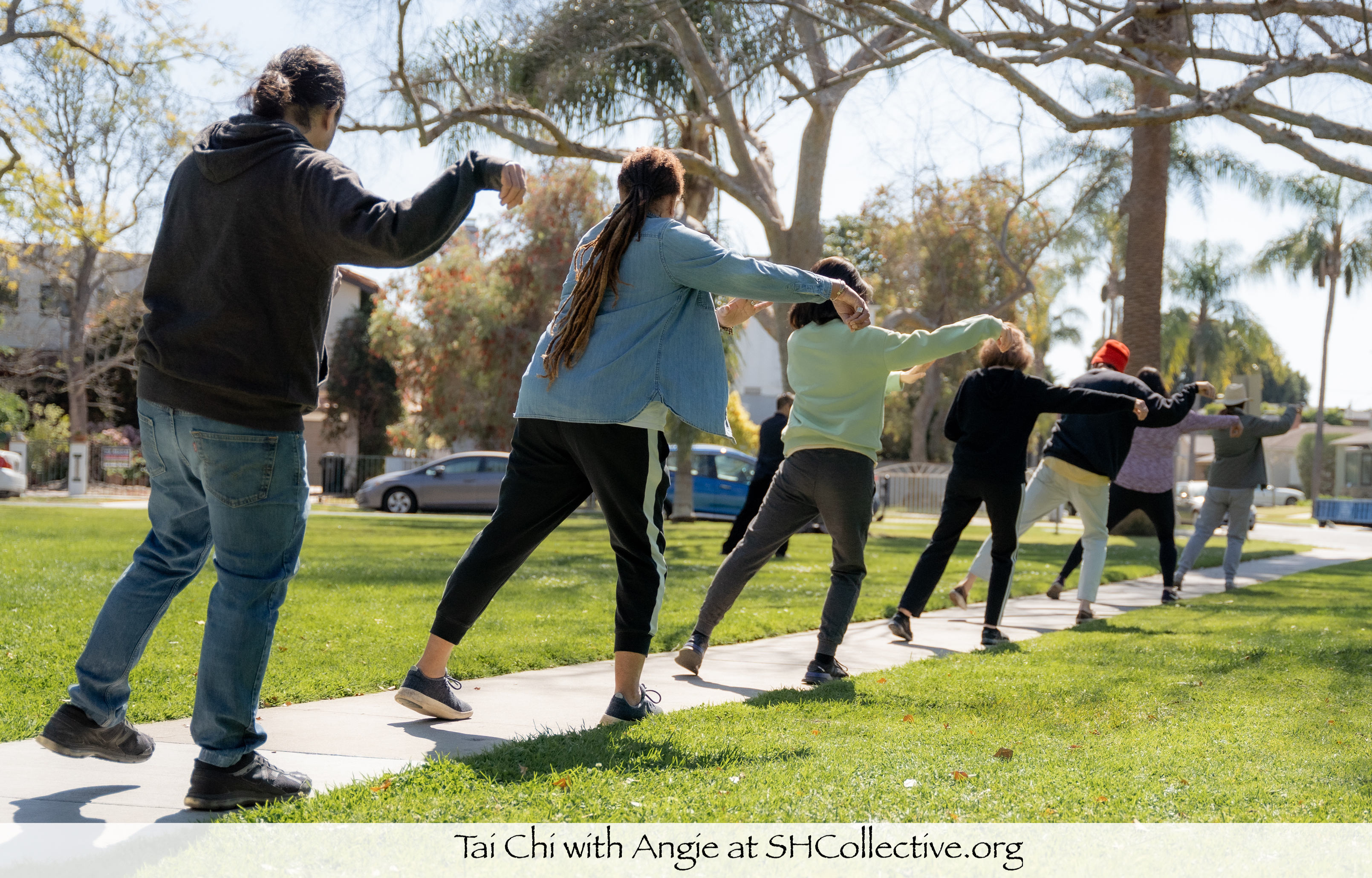 tai chi private lesson showing 7 people standing in a straight line across from one another doing a tai chi movement