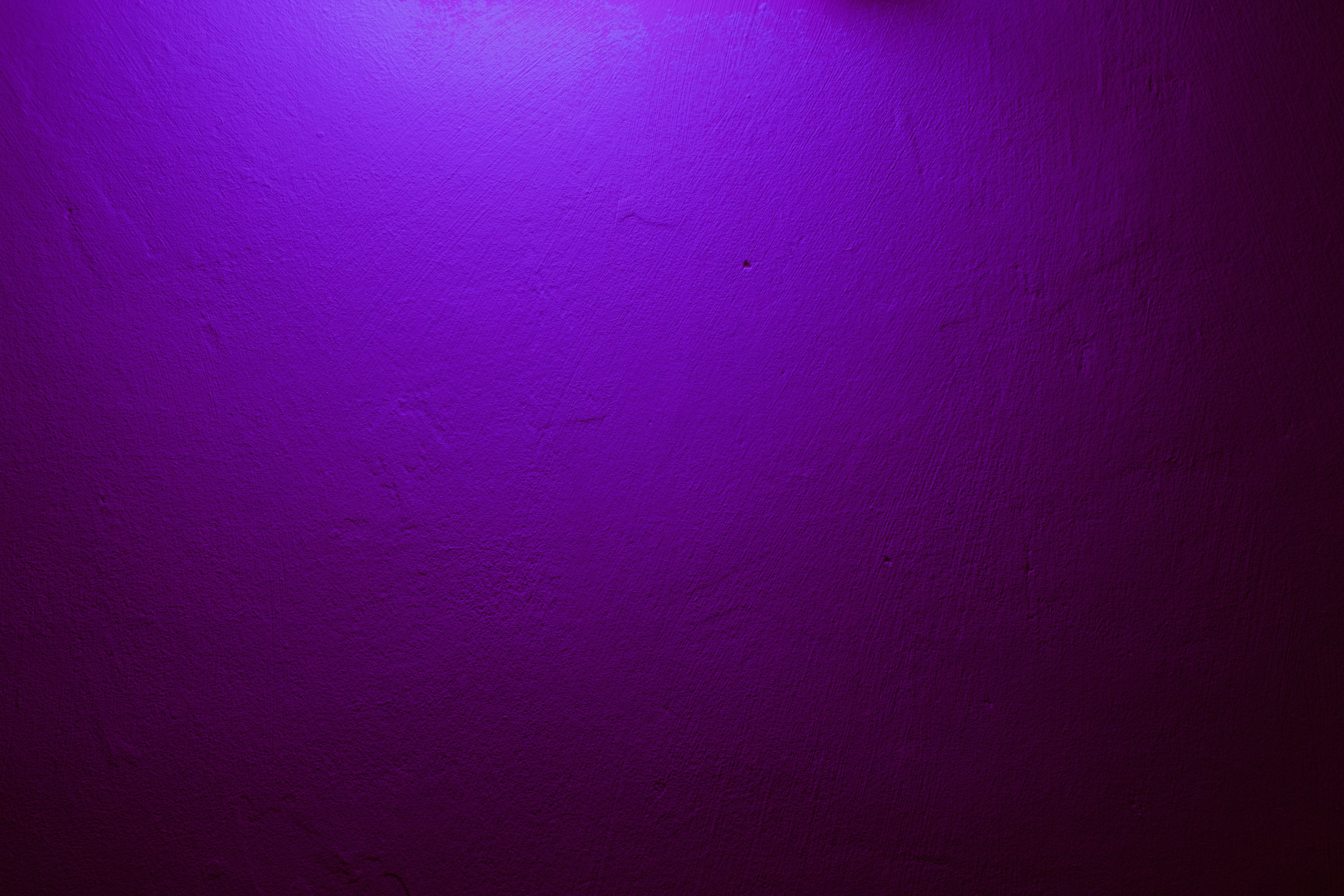 color purple image