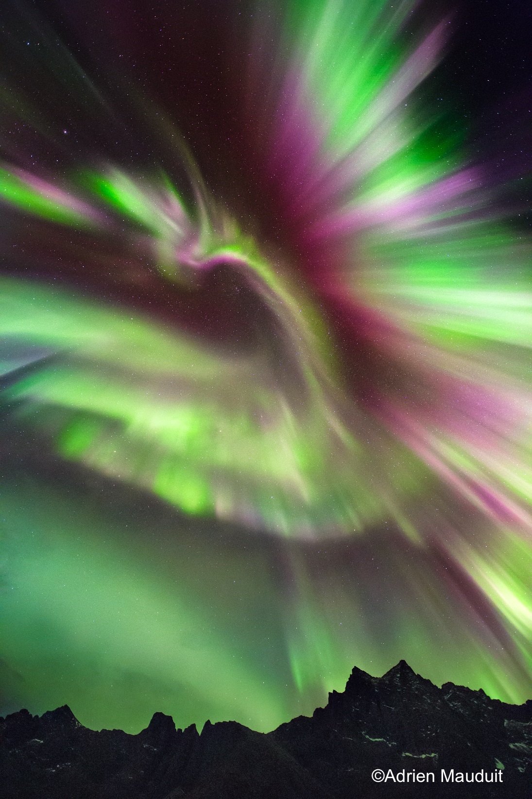 aurora shaped like phoenix rising over the landscape - by Adrien Mauduit
