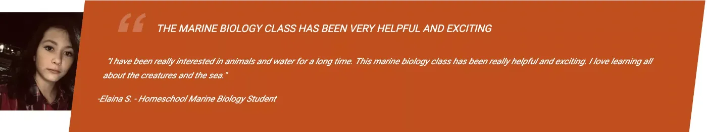 homeschool marine biology curriculum student review