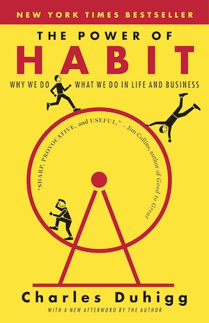 power of habits boek