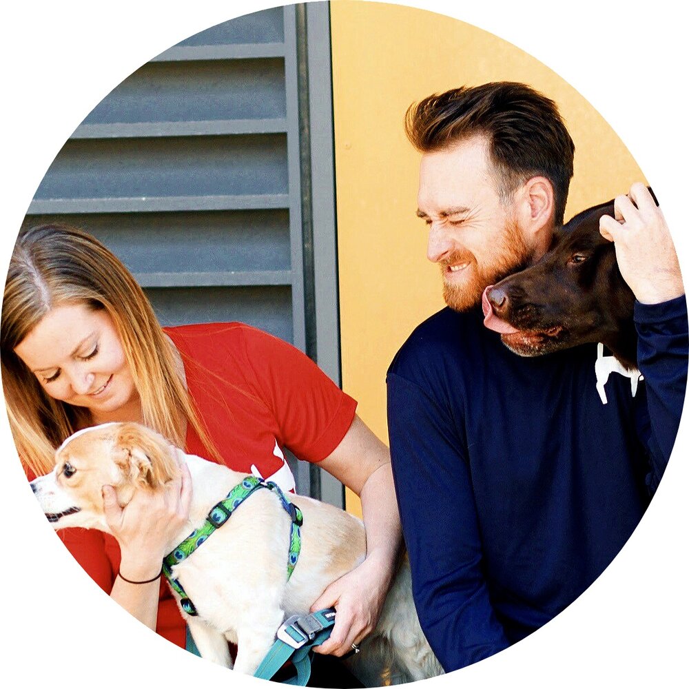 Derek and Jena Newman Newman's Dog Training Instagram home photo