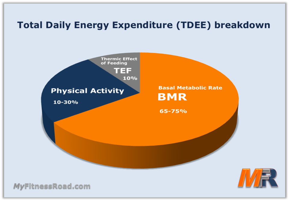 BMR And TDEE Calculator My Fitness Road