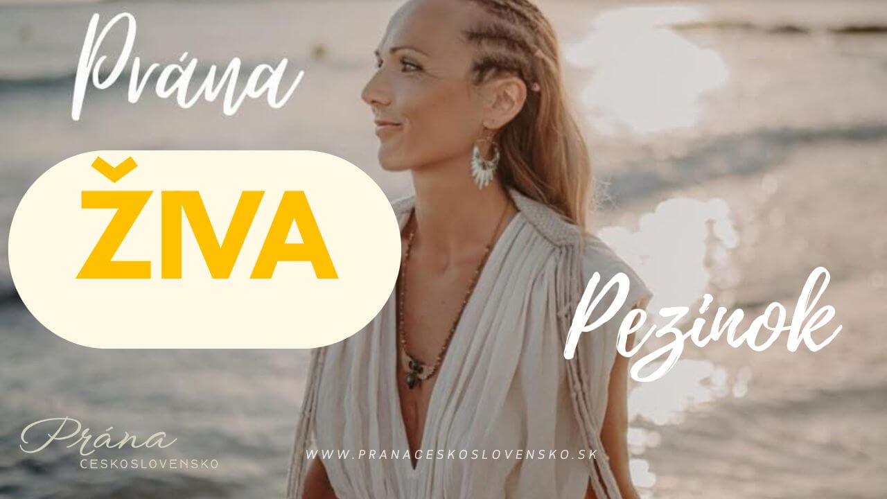 Ivana Dolinská, seminár Pezinok