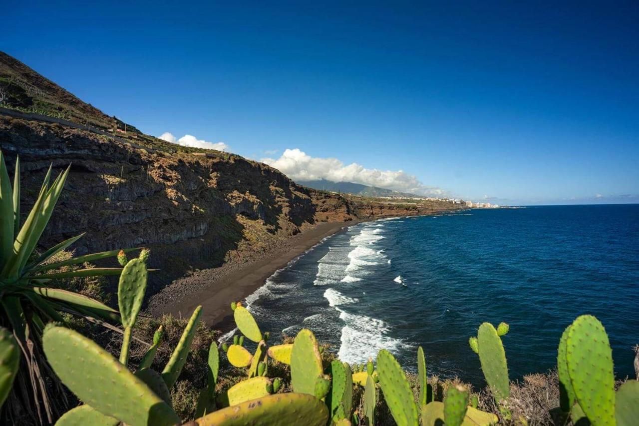Pobrežie Tenerife s kaktusmi a oceánom