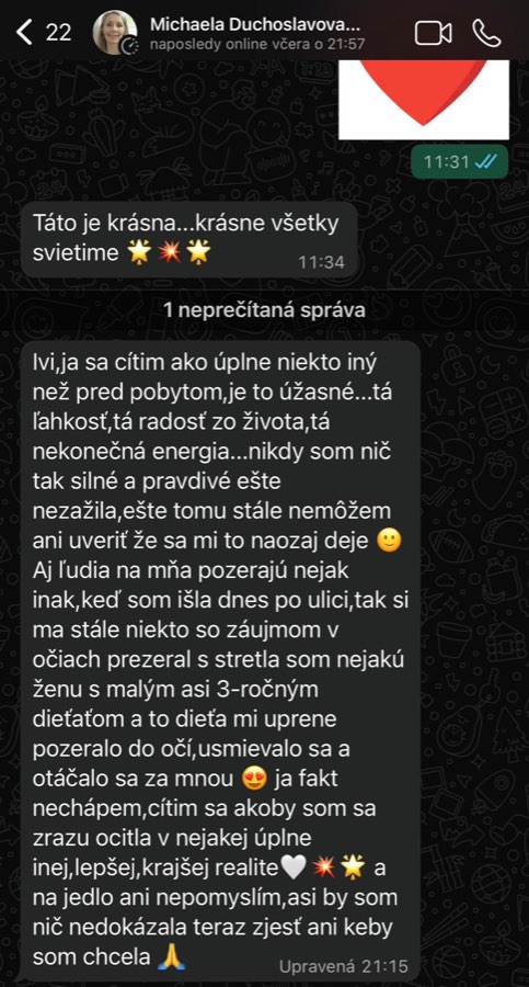 Screenshot referencie