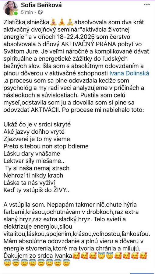 Screenshot referencie