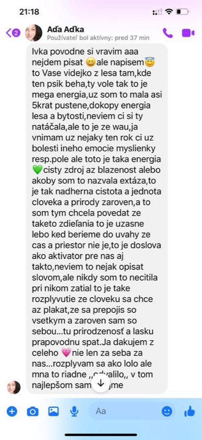 Screenshot referencie