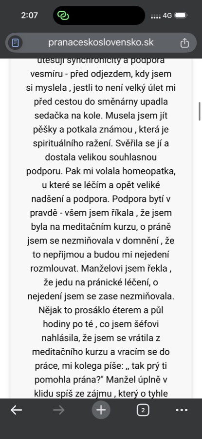 Screenshot referencie