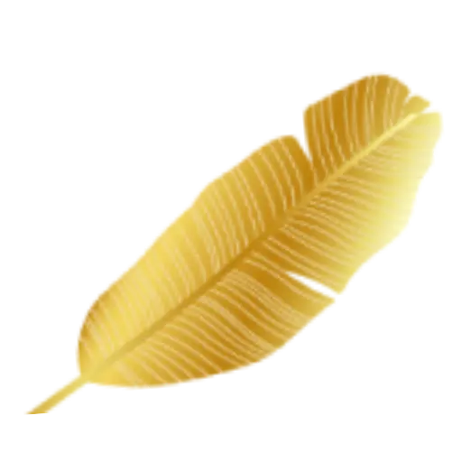 Gold feather symbol for confident change