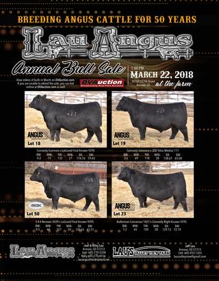 2018 Lau Angus Sale