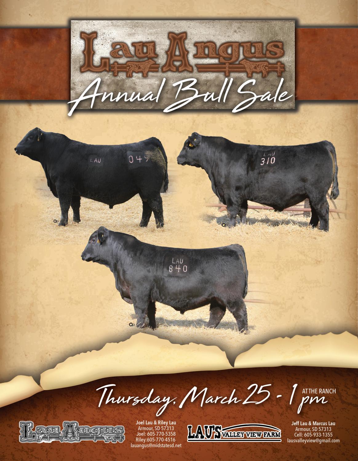 2021 Lau Angus Sale