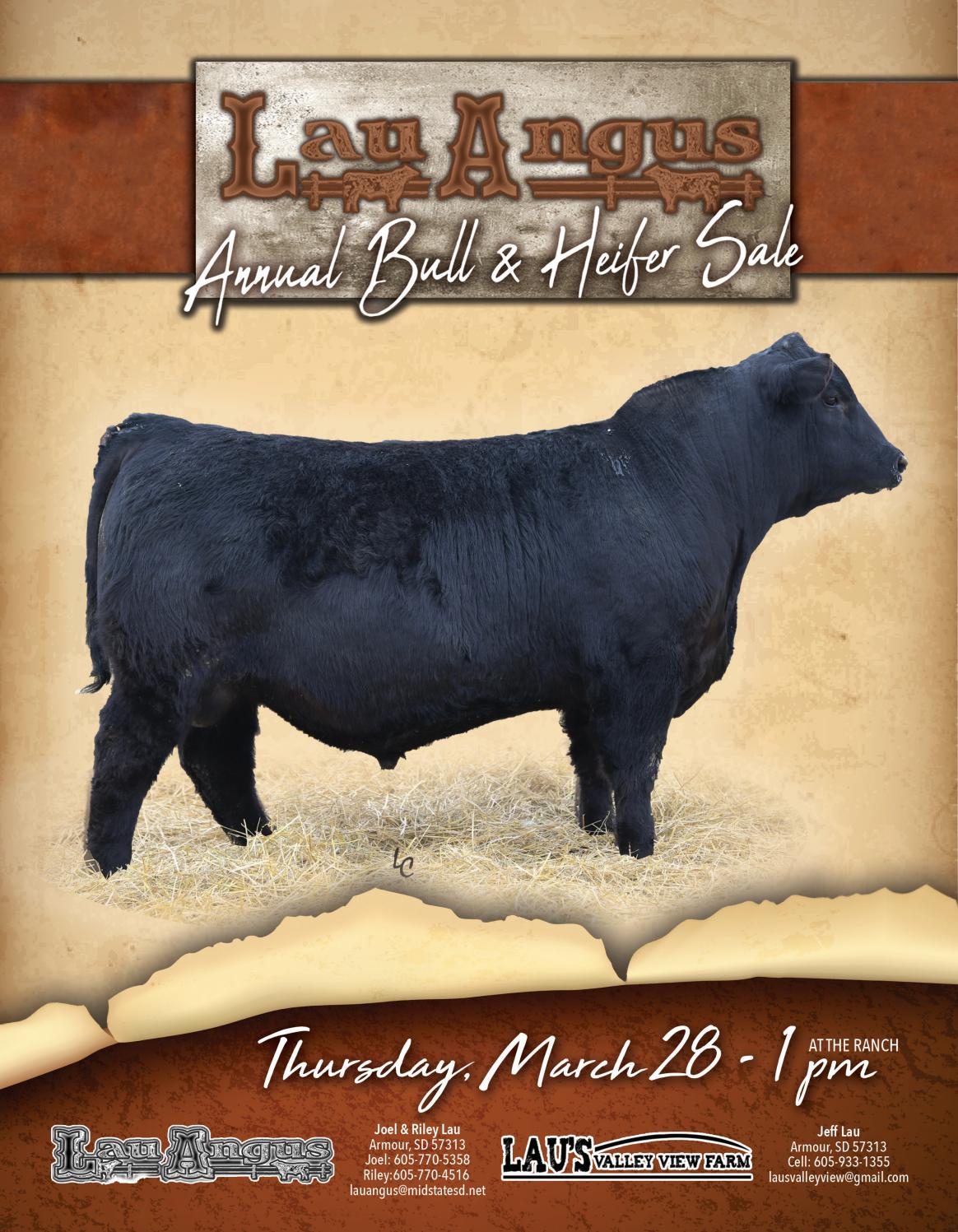 2019 Lau Angus Sale