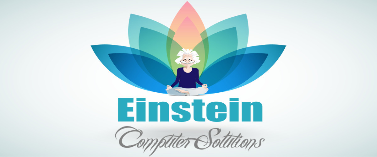 Einstein Computer Solutions logo showing Einstein sitting peacefully in a colorful lotus flower.